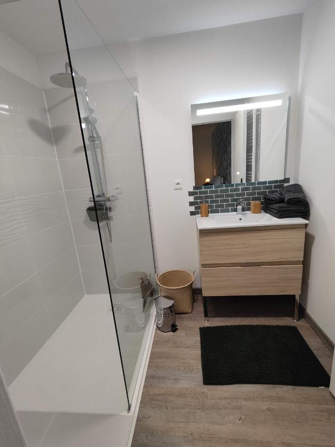 O Loft - 3 Chambres Avec 3 Salles De Bains - Parking - Climatisation Альби Экстерьер фото
